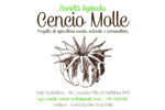 SOCIETÀ AGRICOLA CENCIO MOLLE